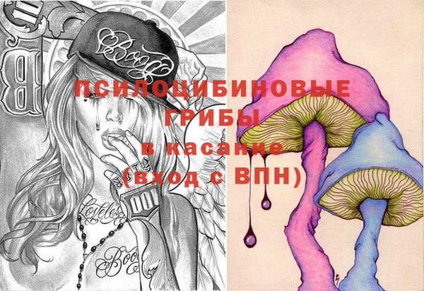 эйфоретик Баксан
