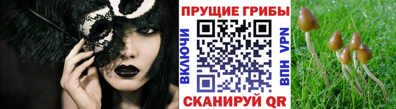 Галлюциногенные грибы MAGIC MUSHROOMS наркотики Янаул